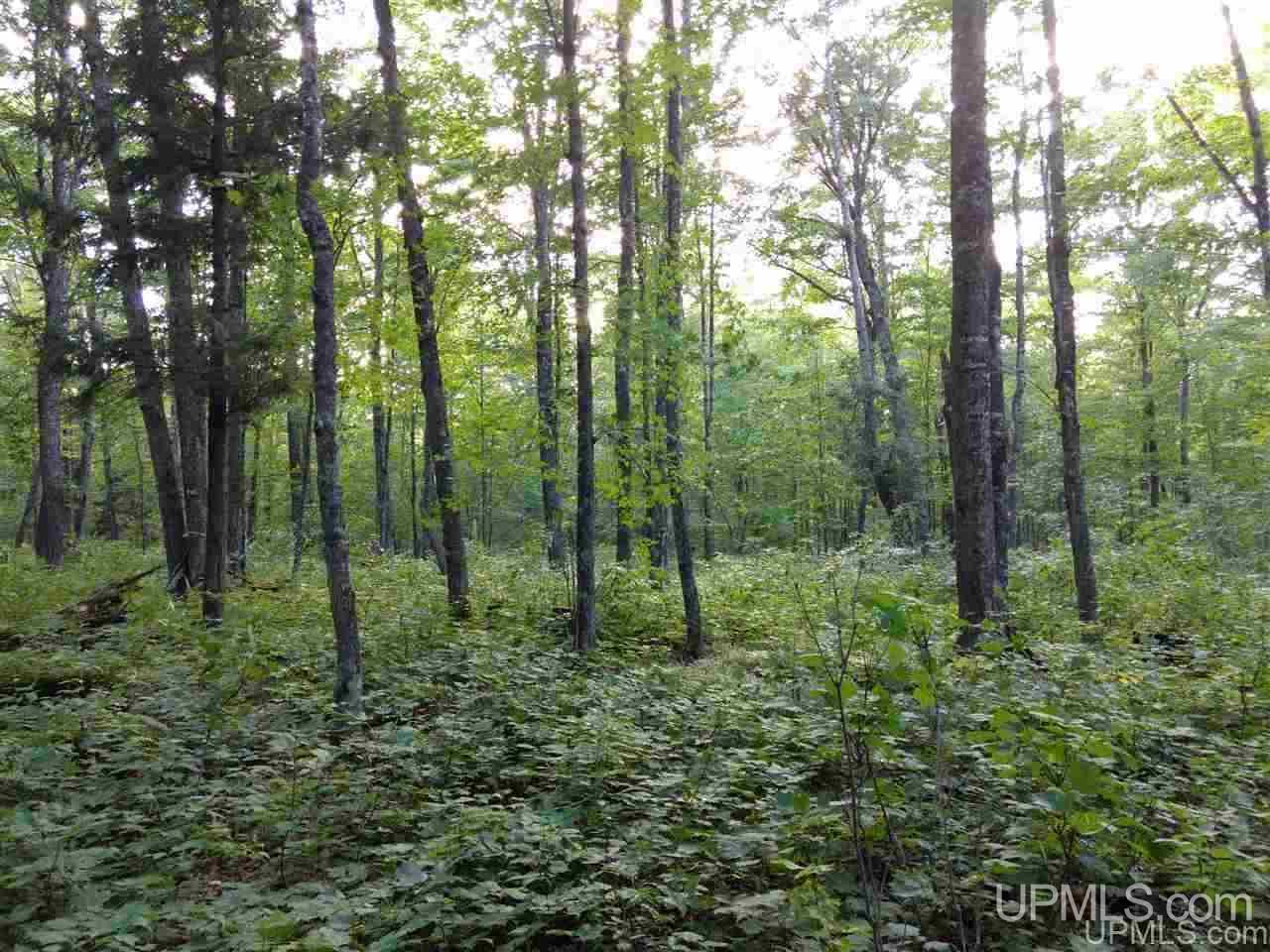 Tbd Sandstone B Road Lake Linden, MI 49945 - Photo 43 of 50