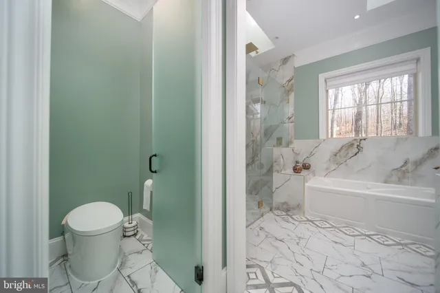 a bathroom with a toilet and a bathtub