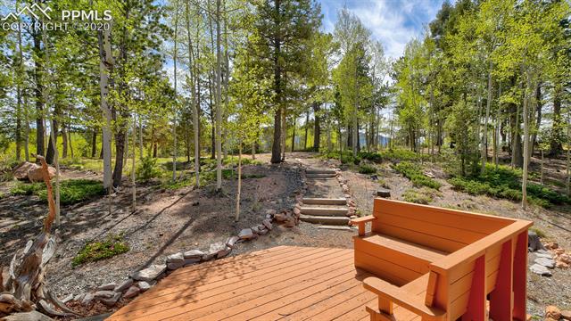 263 Paradiso Road Divide, CO 80814 - Photo 26 of 39