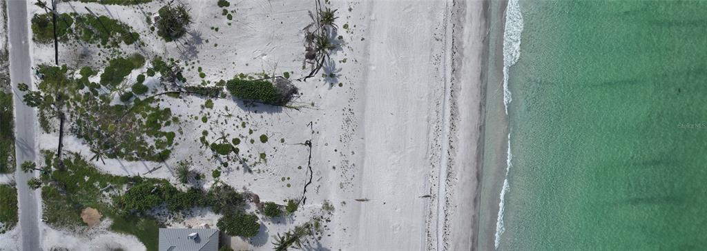 6453 Gulfside Road Longboat Key, FL 34228 - Photo 17 of 21 a view of a plant in a garden