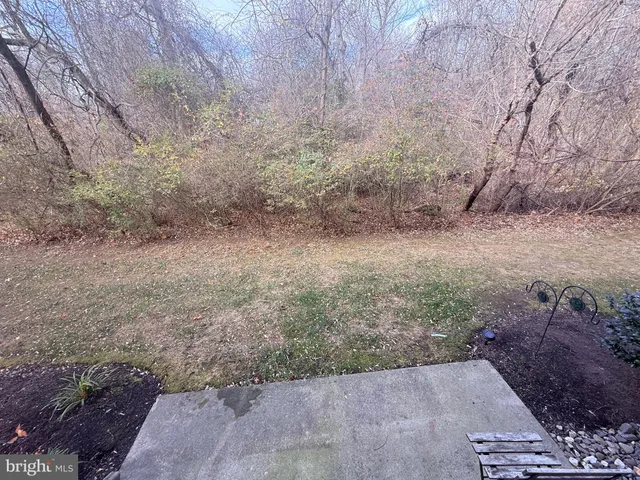 a view of a yard with trees