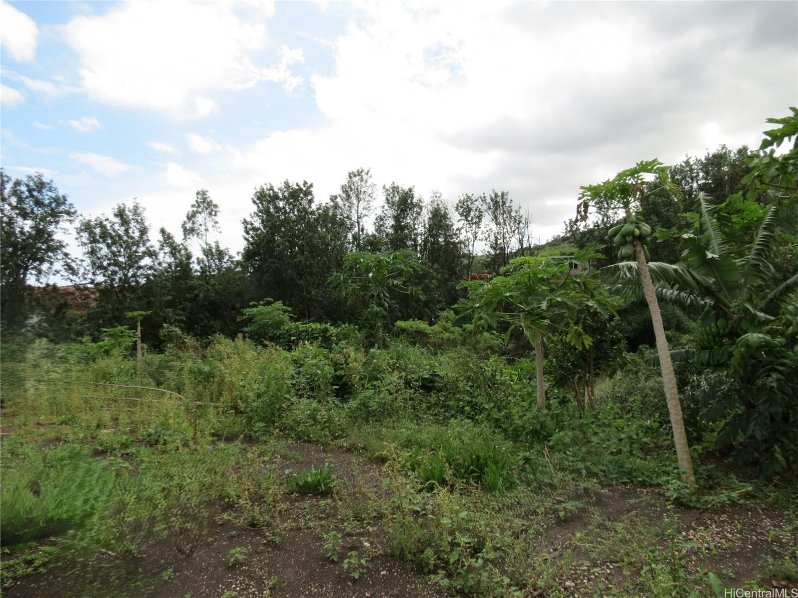 94-1100 Kunia Road, Unit 42F Waipahu, HI 96797 - Photo 14 of 25 a view of a green field with lots of bushes