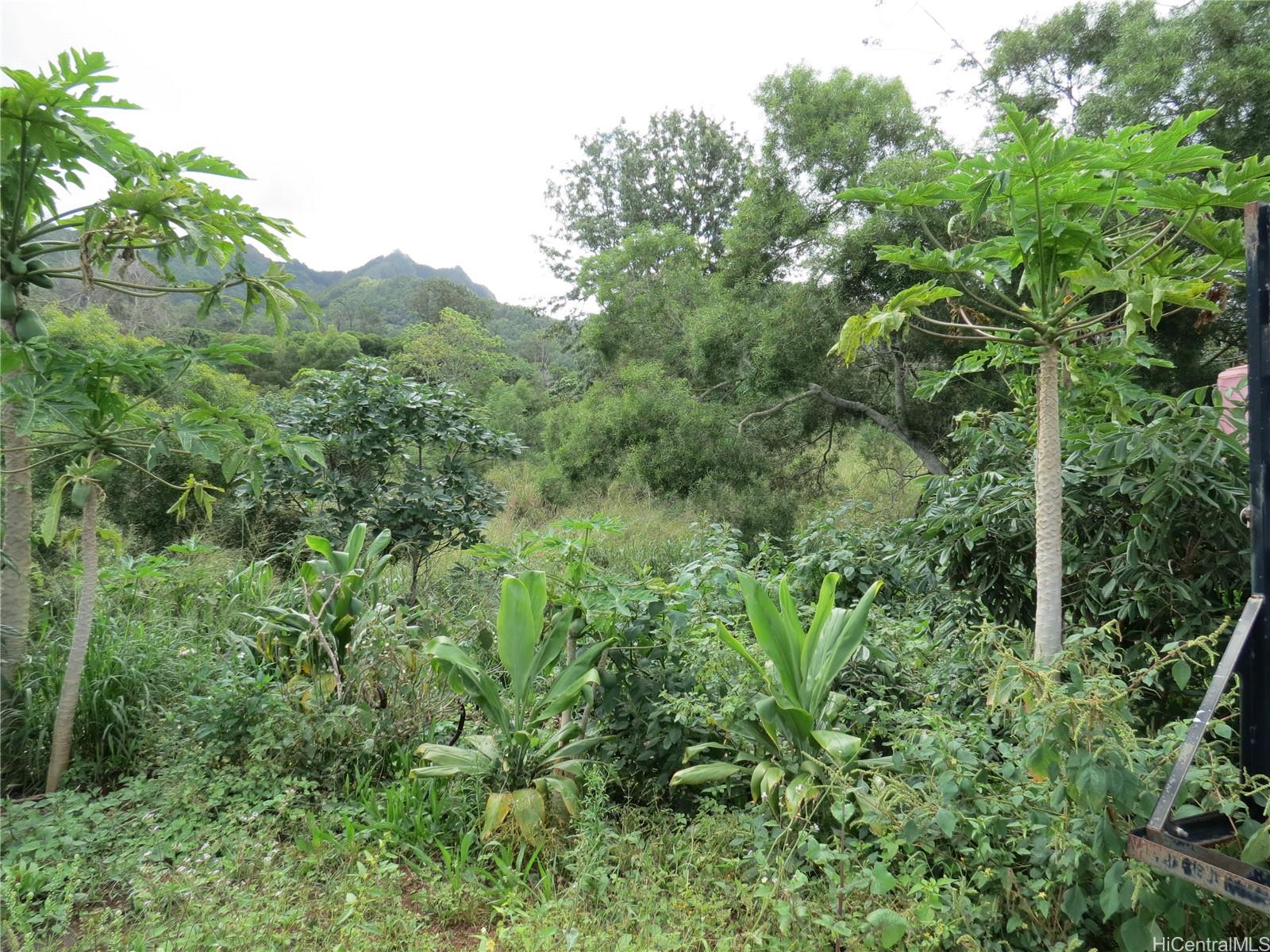 94-1100 Kunia Road, Unit 42F Waipahu, HI 96797 - Photo 15 of 25 an aerial view of residential house with outdoor space and trees all around
