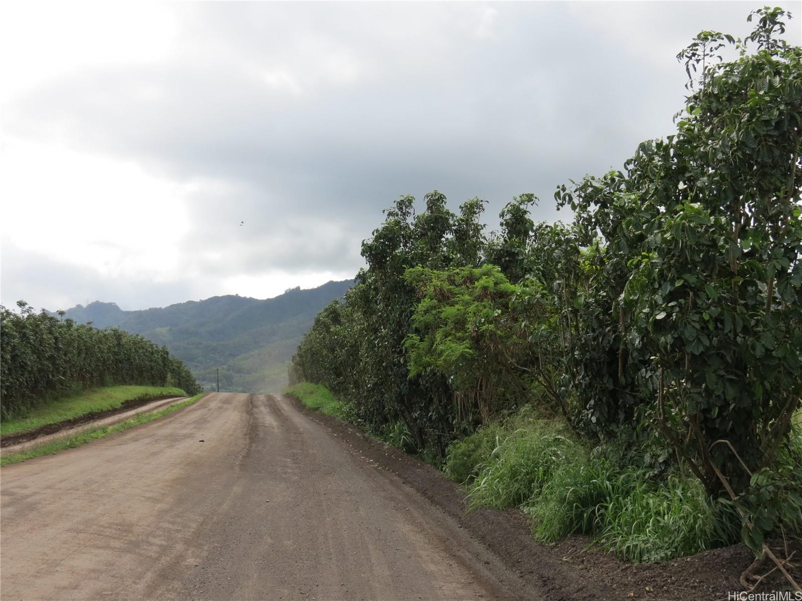 94-1100 Kunia Road, Unit 42F Waipahu, HI 96797 - Photo 3 of 25 a view of a road with a trees in the background