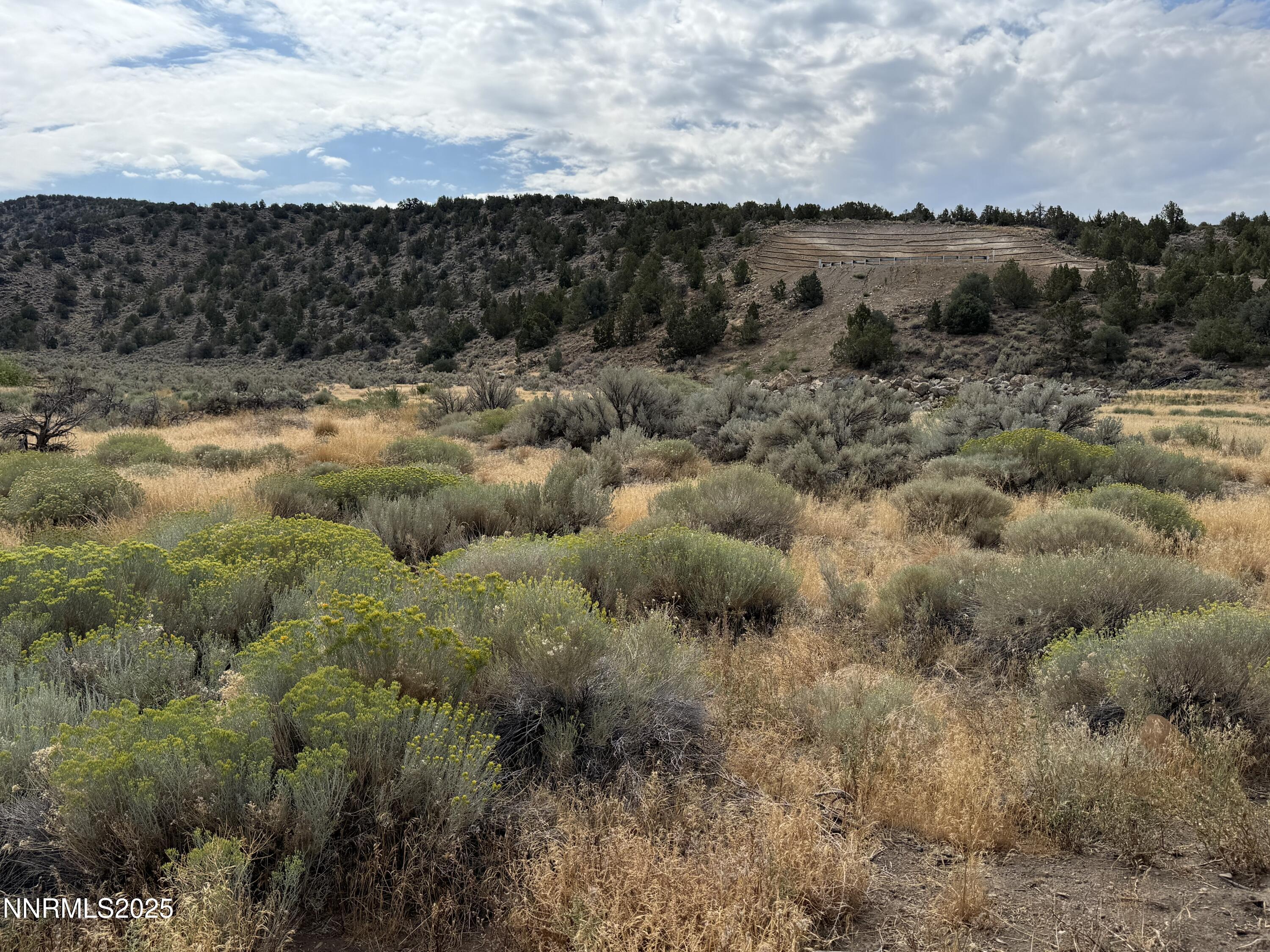 Tbd Old Ranch Road, Unit 1 Gardnerville, NV 89410 - Photo 3 of 8 a view of a big yard