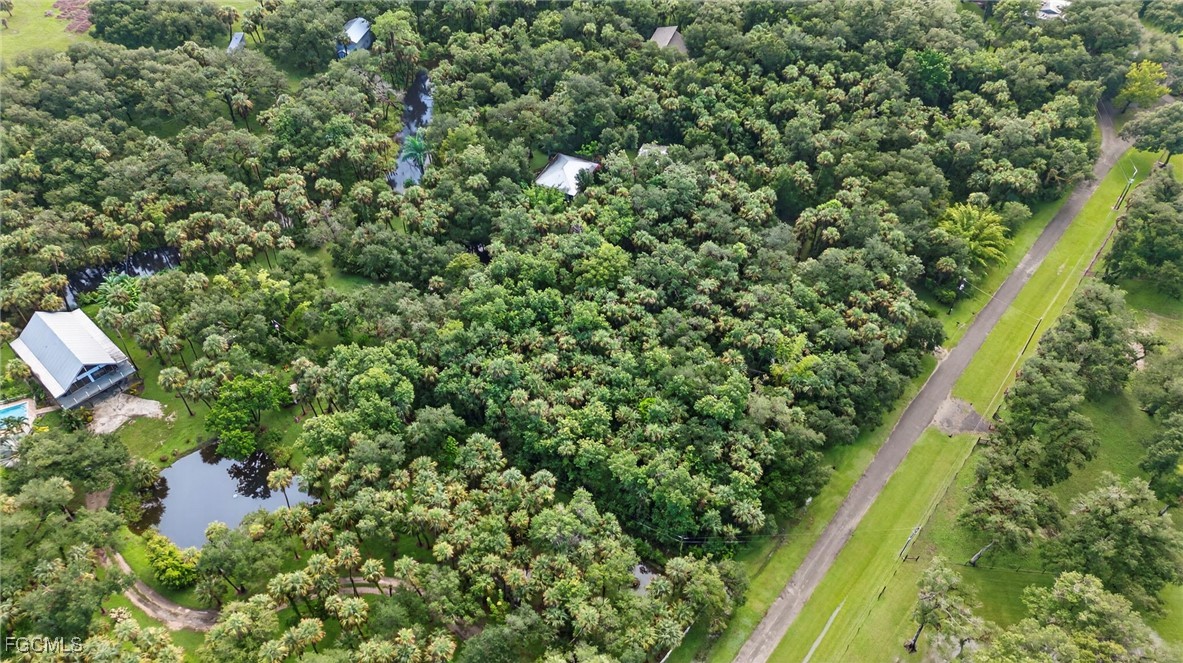 14261 River Road Fort Myers, FL 33905 - Photo 16 of 25 a view of a house with a lush green forest