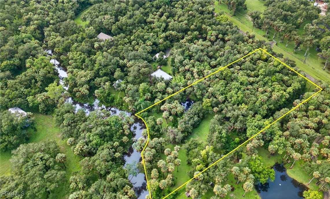 14261 River Road Fort Myers, FL 33905 - Photo 3 of 25 a view of a lush green forest with lots of trees
