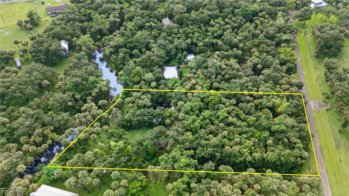 14261 River Road Fort Myers, FL 33905 - Photo 6 of 25 a view of a forest from a window