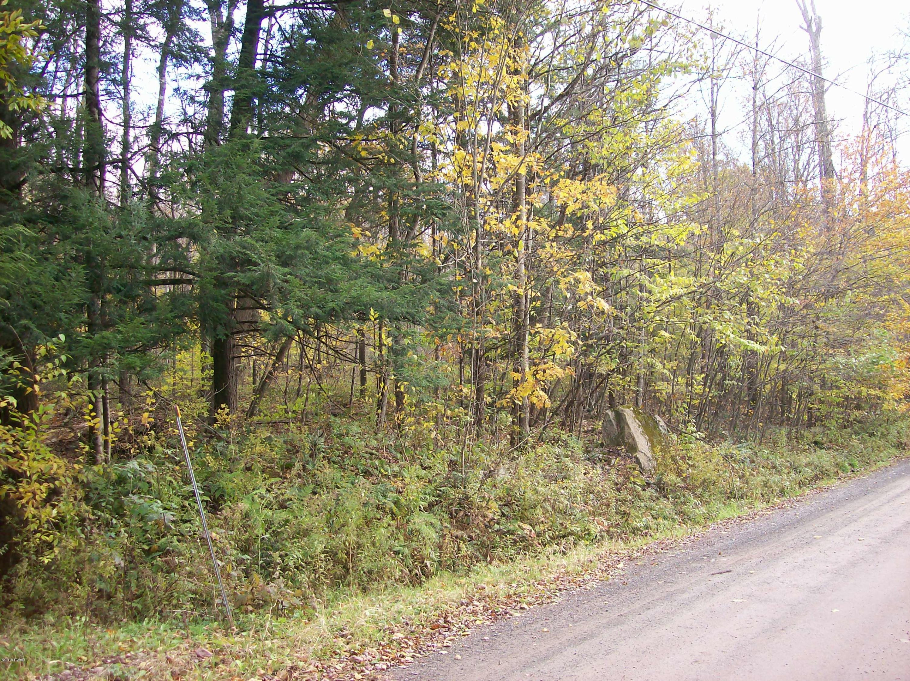 Lot 6-7 Bunting Road Hawley, PA 18428 - Photo 3 of 5