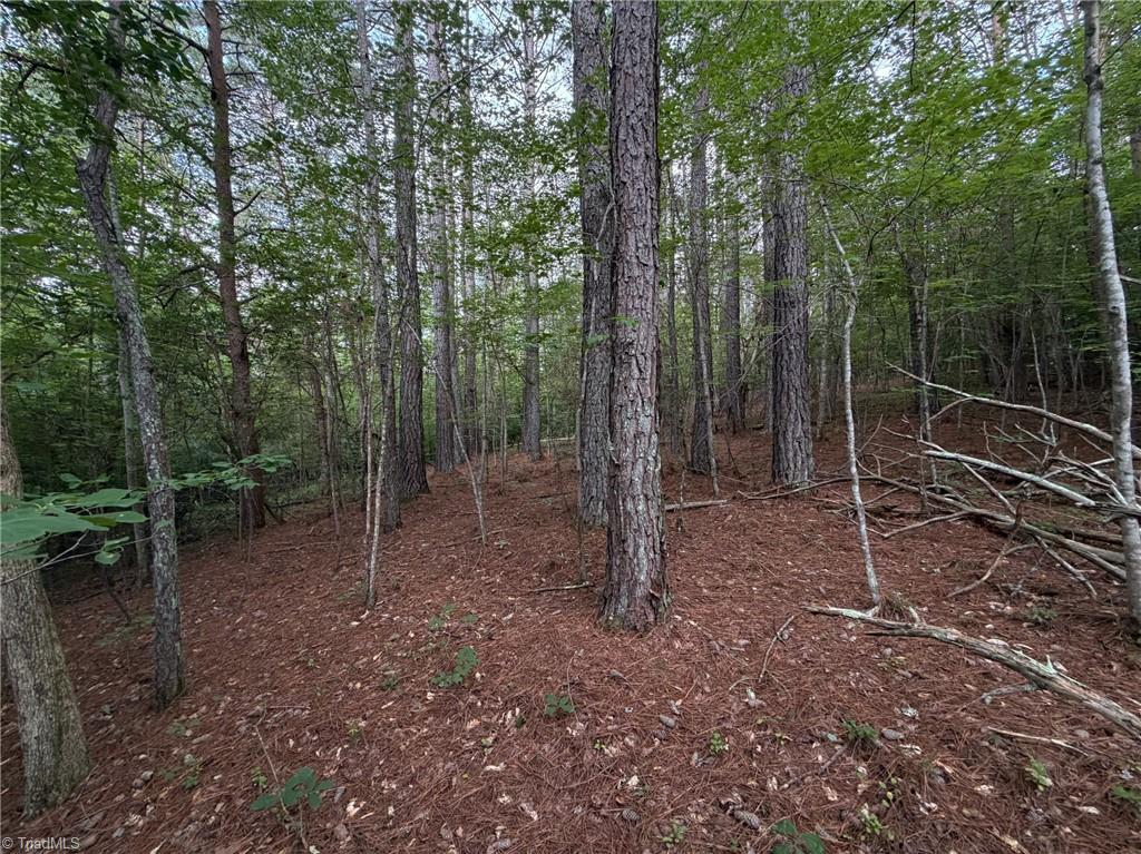 1215 Lucius Beasley Road Westfield, NC 27053 - Photo 17 of 25