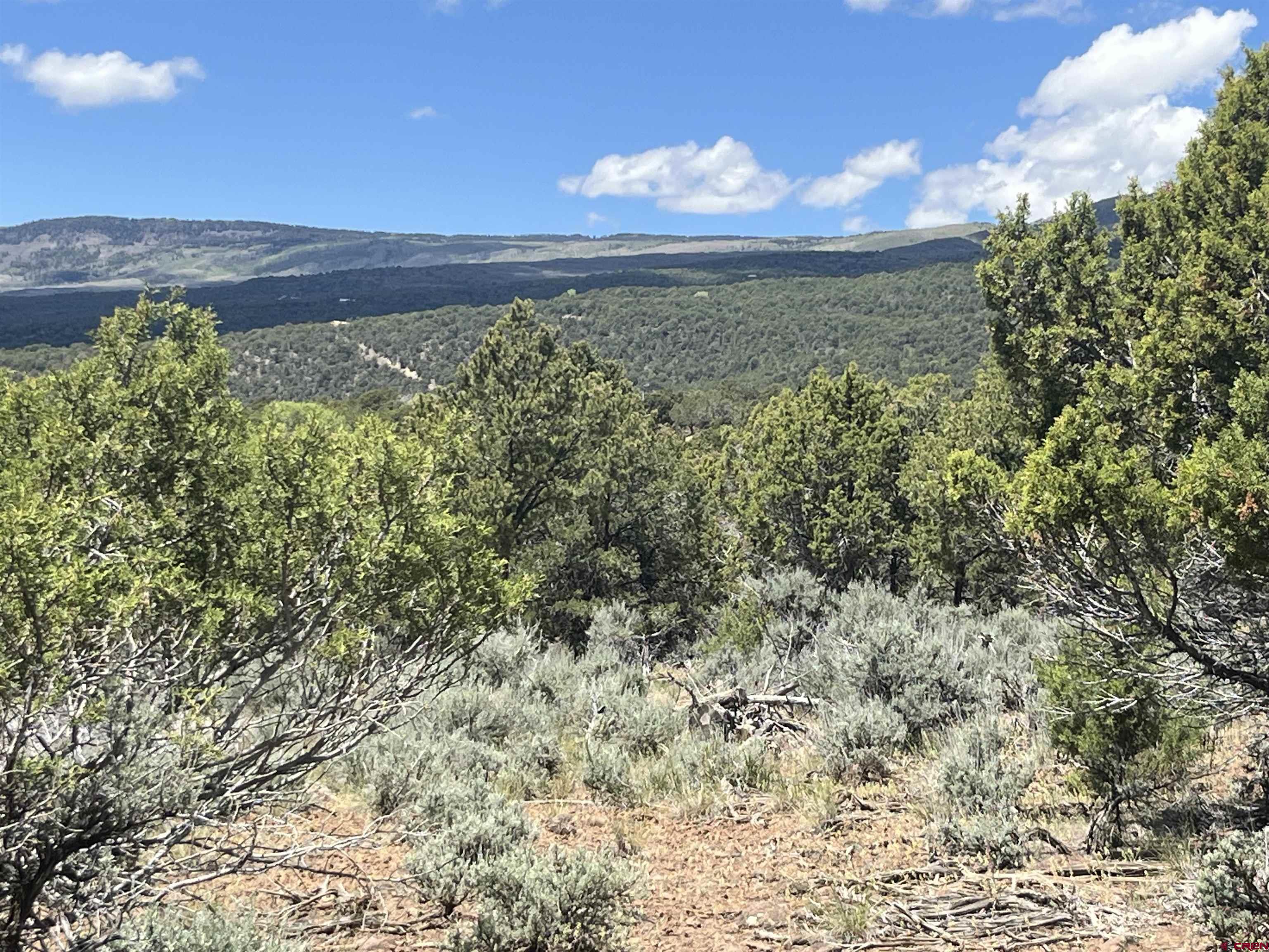 Tbd Green Valley Road Cedaredge, CO 81413 - Photo 3 of 4