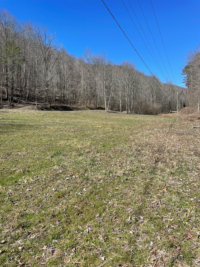 891 Bushy Head Road Cherry Log, GA 30522 - Photo 23 of 24