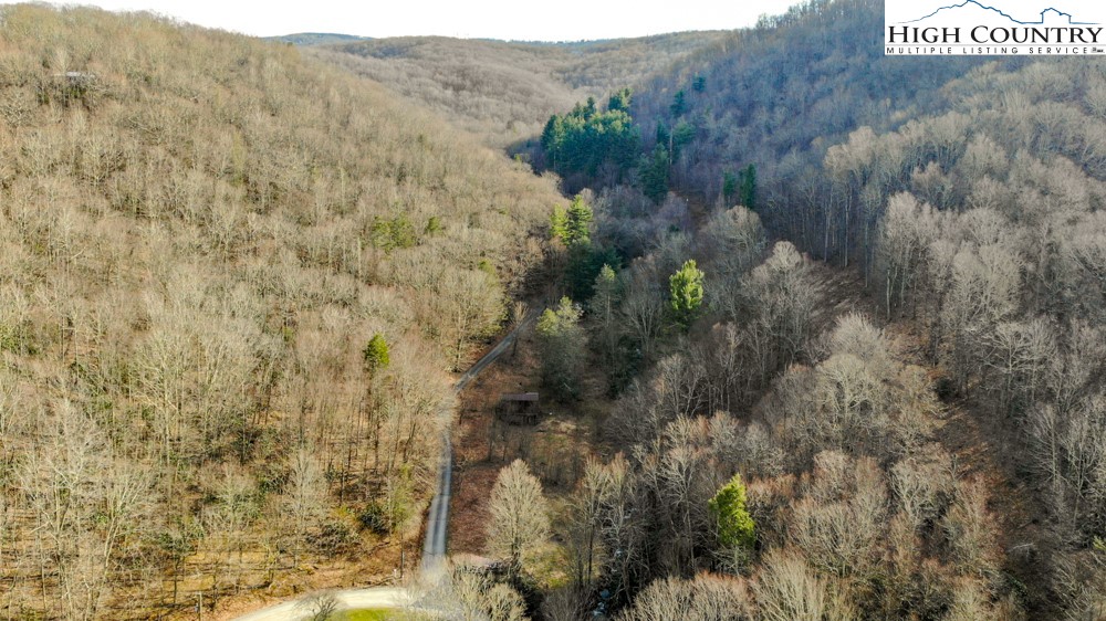 7.86-acres Doe Ridge Road Boone, NC 28607 - Photo 5 of 8 a view of a dry yard