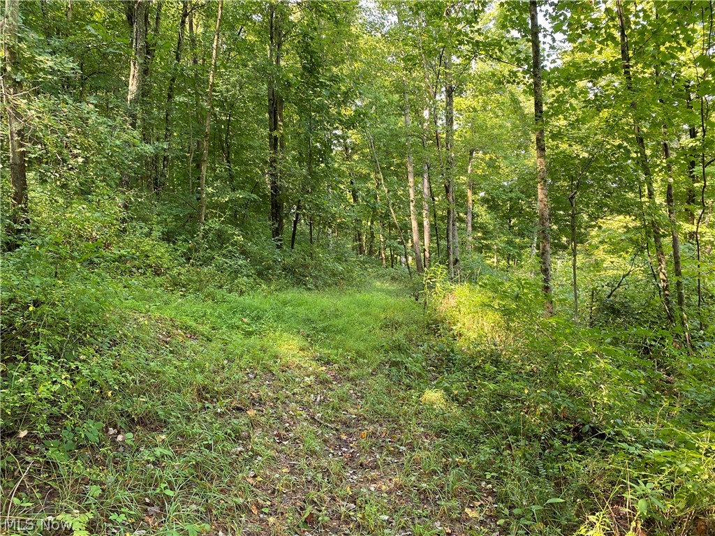 258 State Route Tippecanoe, OH 44699 - Photo 1 of 34 Gallery Image 1