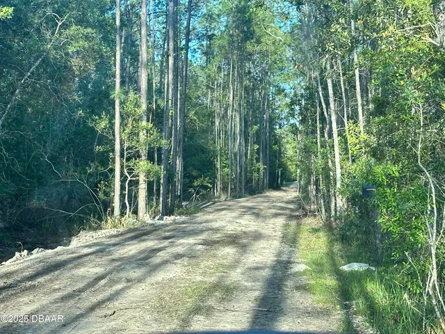 a view of a yard with a trees