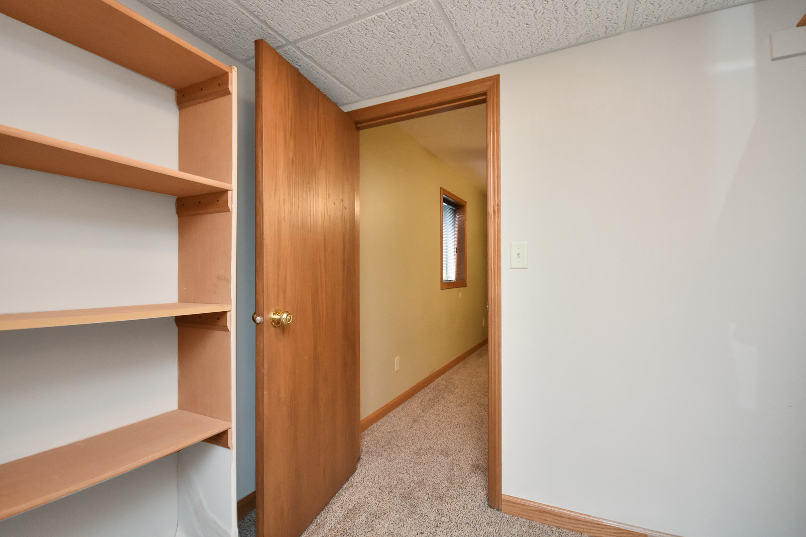 1108 Gehant Court Rochelle, IL 61068 - Photo 46 of 53