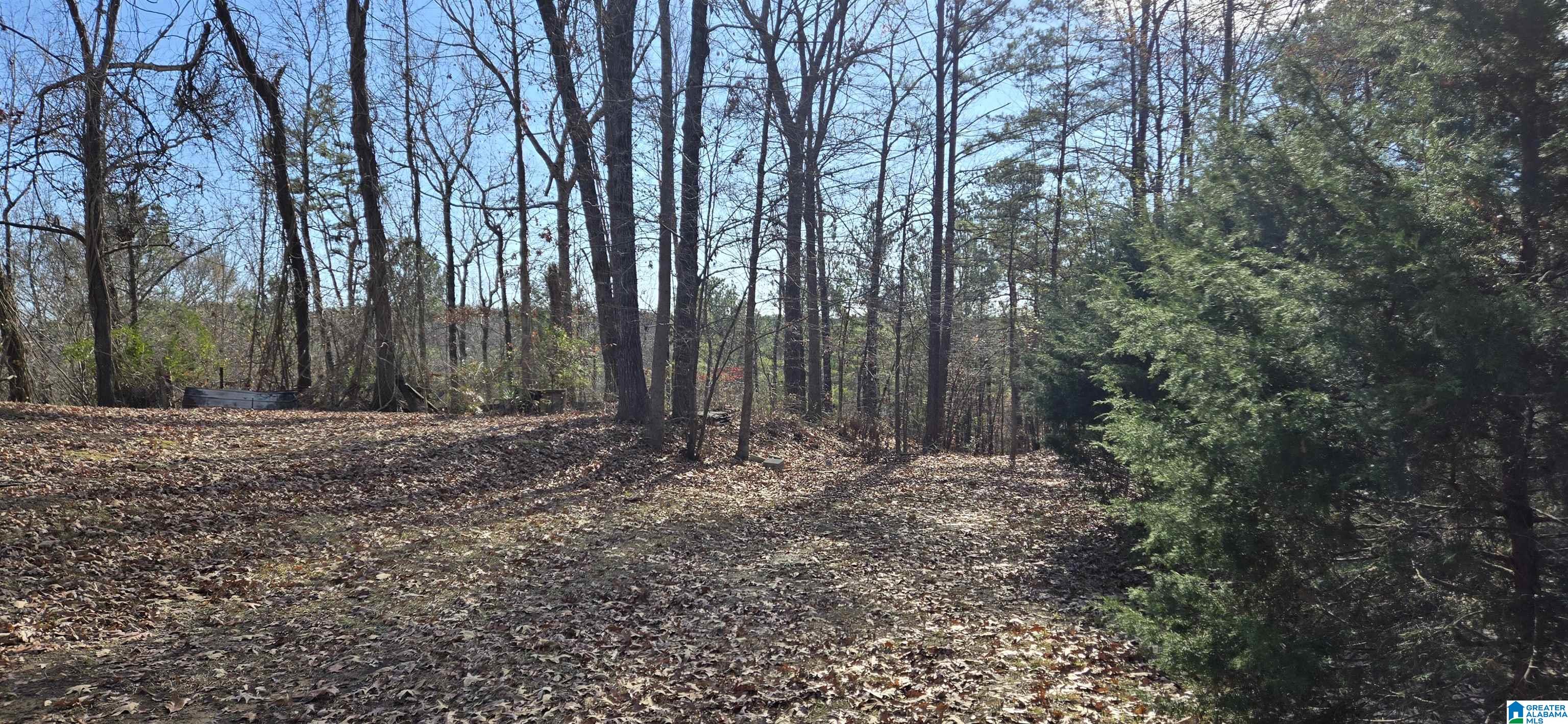 8897 Bradford Trafford Road Pinson, AL 35126 - Photo 20 of 21