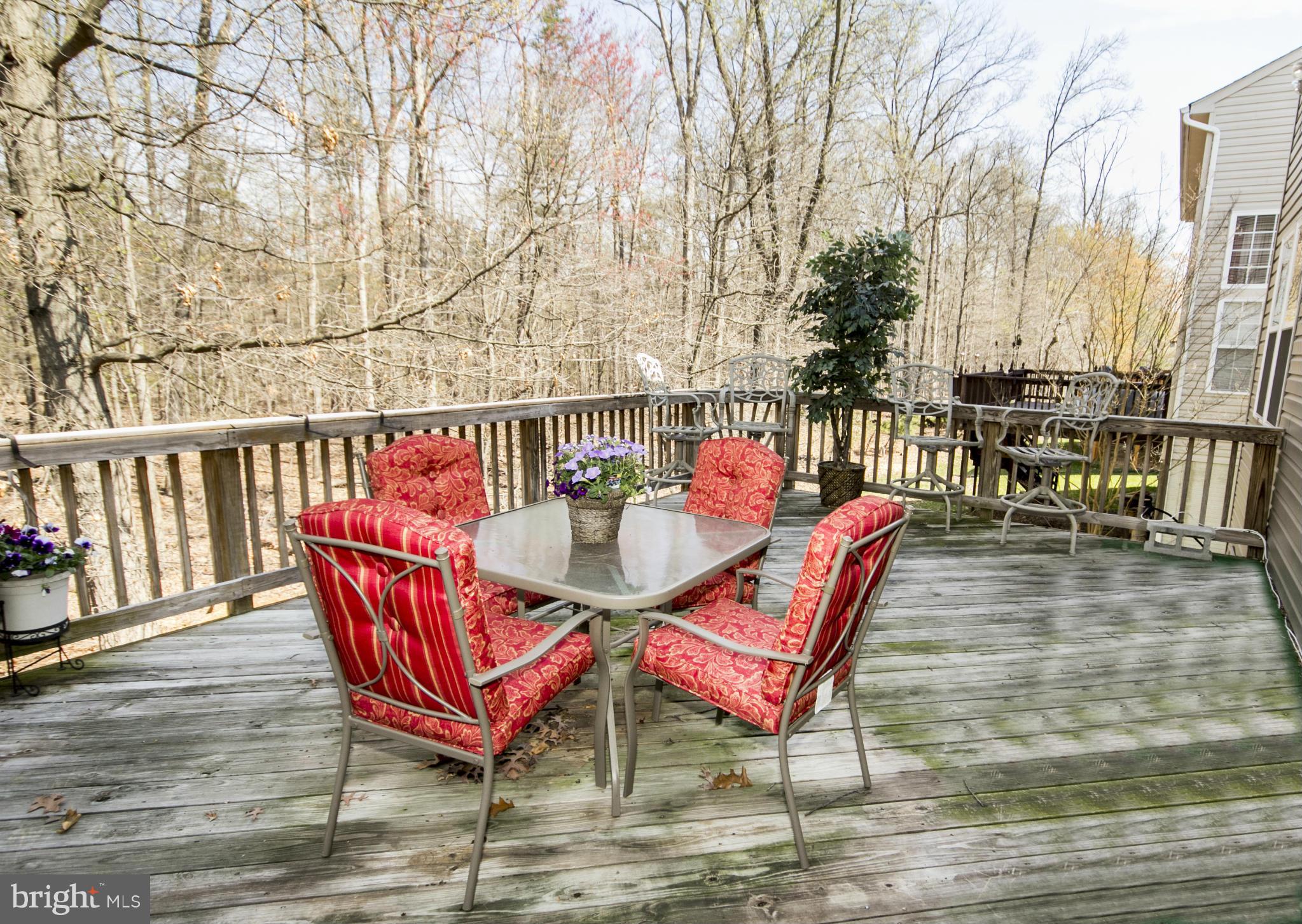 4612 Runnymeade Road Owings Mills, MD 21117 - Photo 28 of 30 Fabulous Deck Backs to Woods