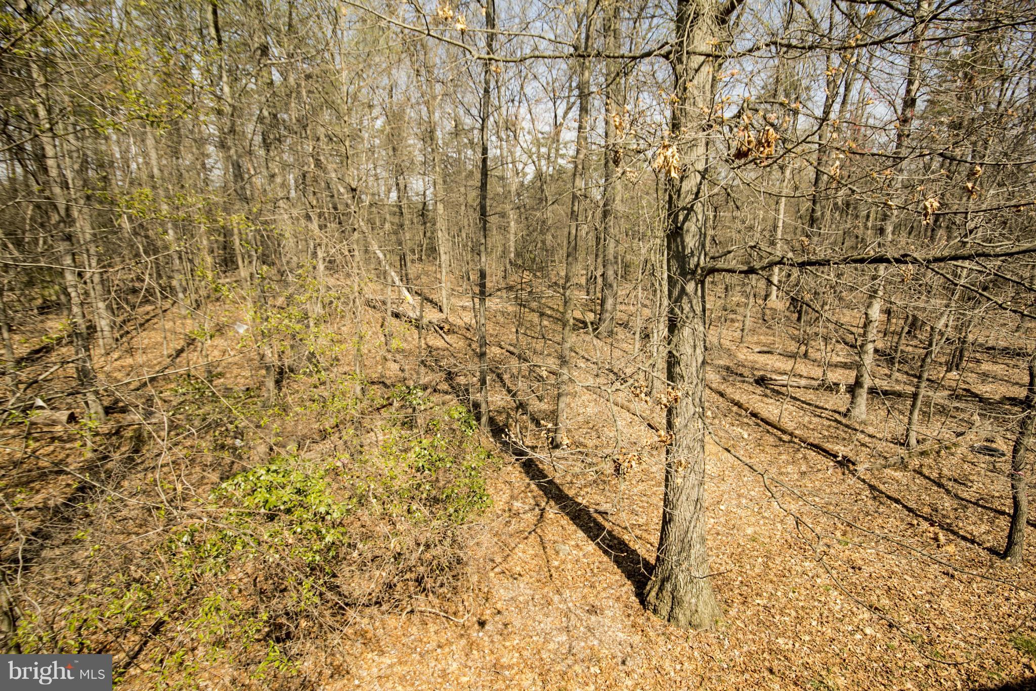 4612 Runnymeade Road Owings Mills, MD 21117 - Photo 30 of 30 Backs to Woods