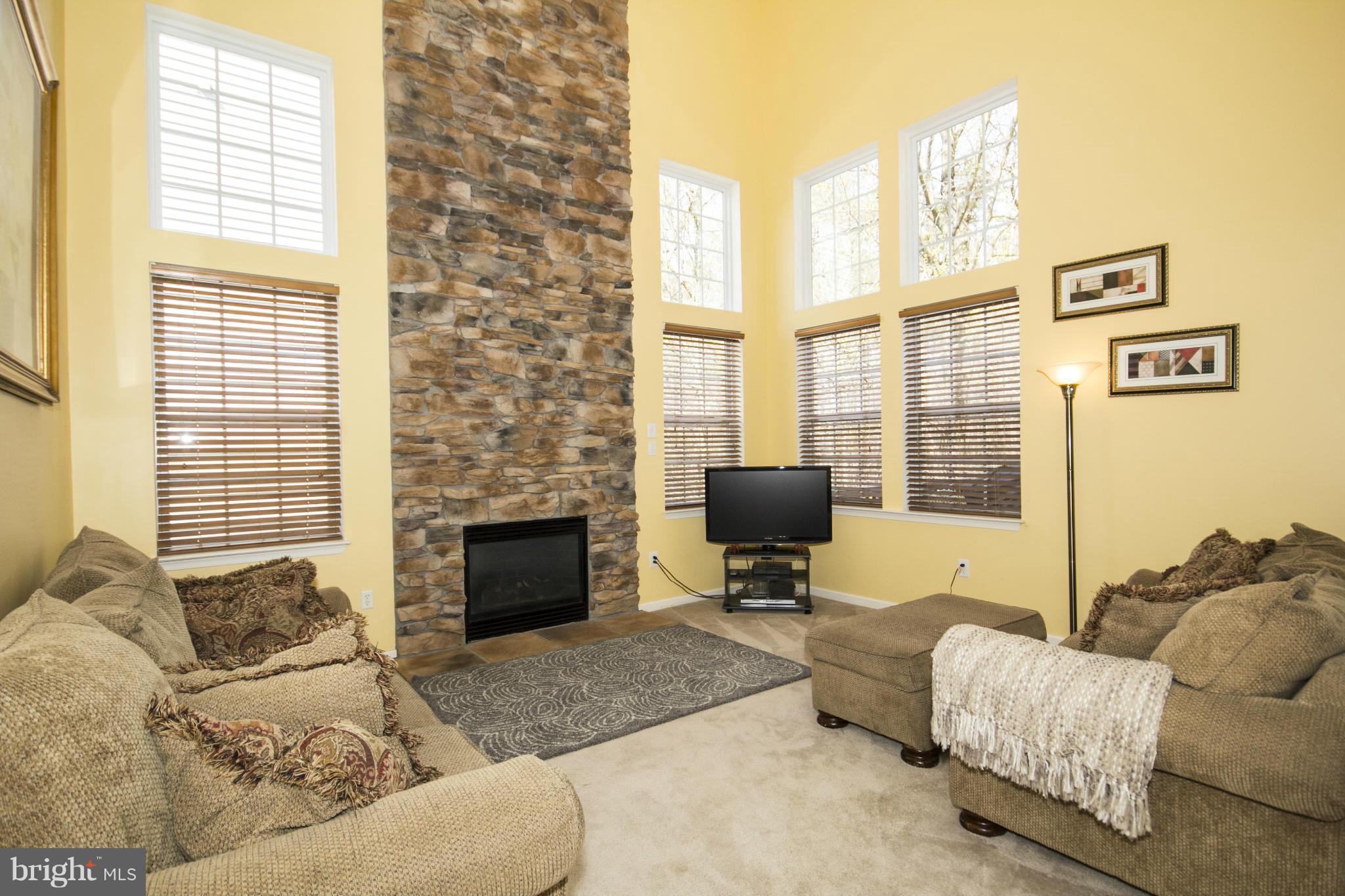 4612 Runnymeade Road Owings Mills, MD 21117 - Photo 10 of 30 Family Room with Two Story Fireplace