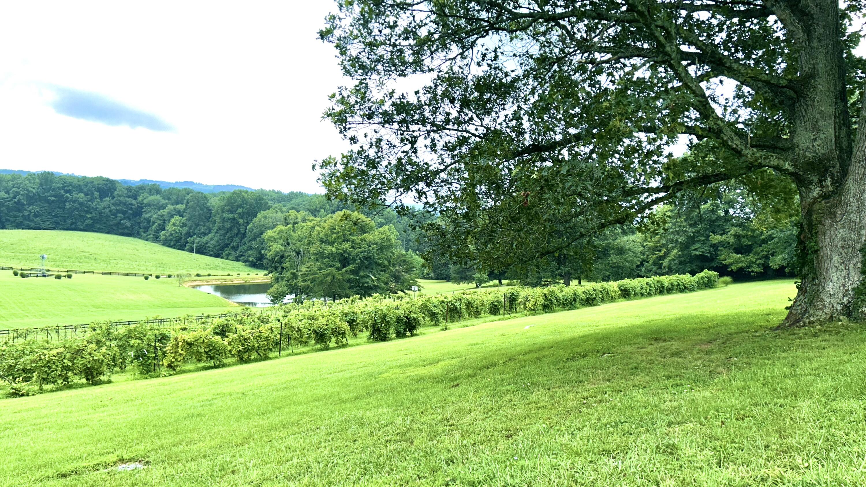45 Cave Hill Road Eubank, KY 42567 - Photo 29 of 135 IMG_8916