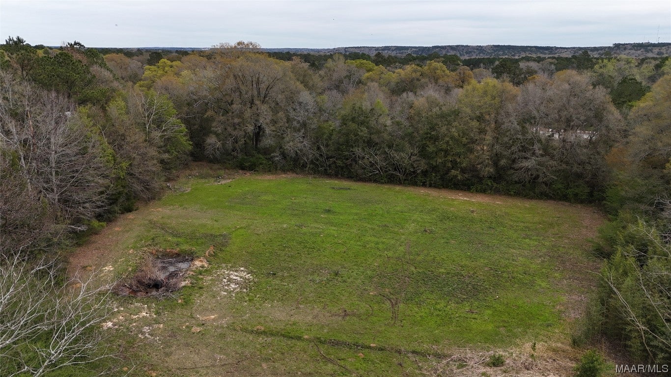 9941 Gantt Road Red Level, AL 36474 - Photo 6 of 27 Gallery Image 6