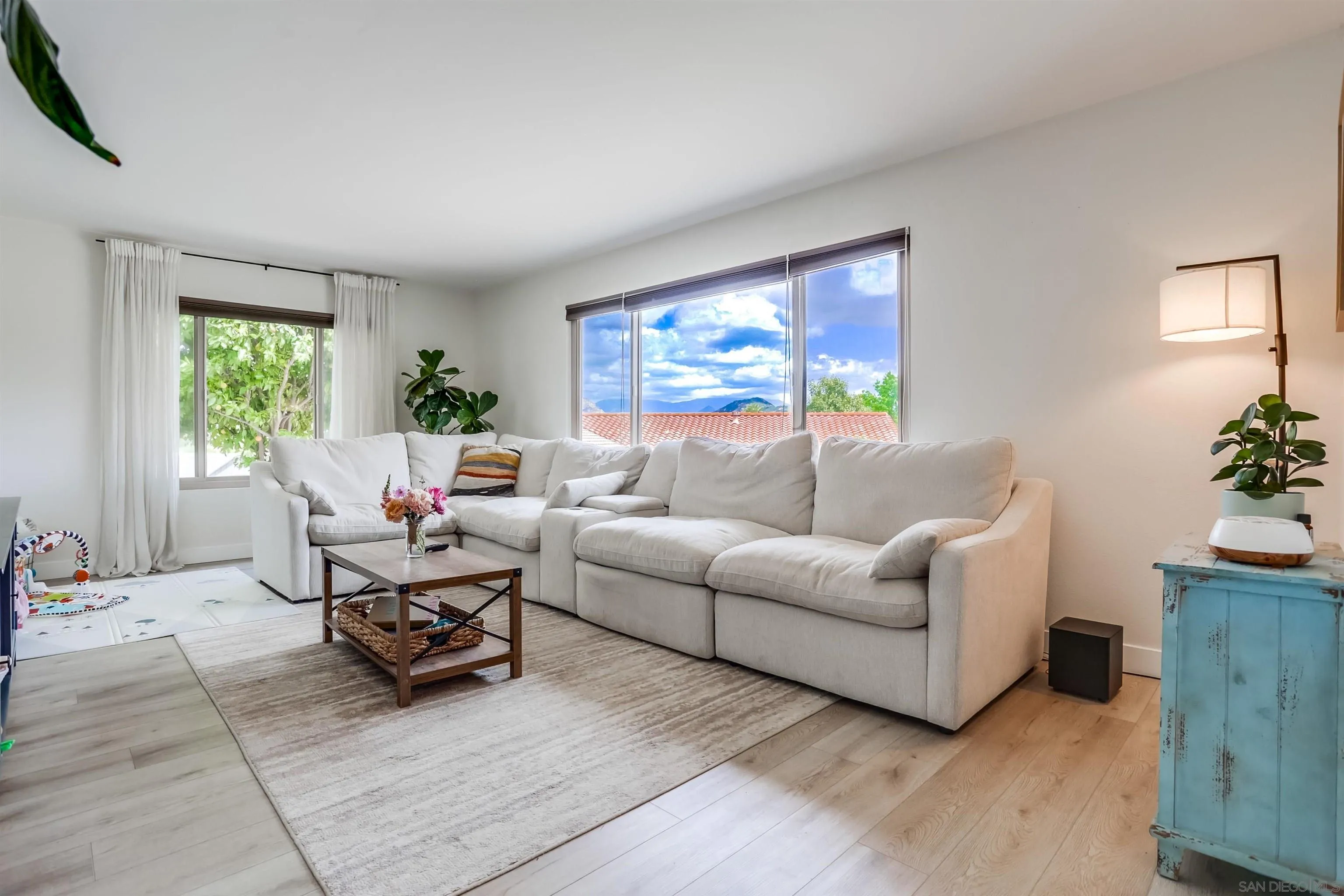 23409 Everett Place Ramona, CA 92065 - Photo 2 of 29 a living room with furniture and a potted plant