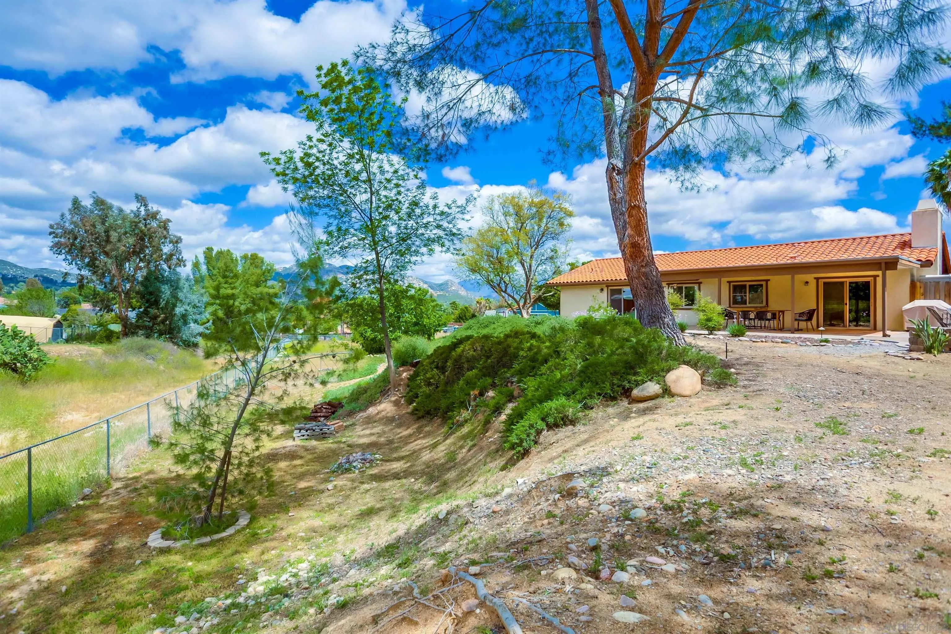 23409 Everett Place Ramona, CA 92065 - Photo 24 of 29 a row of palm trees in front of house