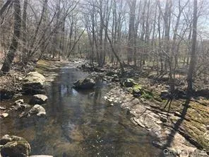 a view of water covered with tall trees