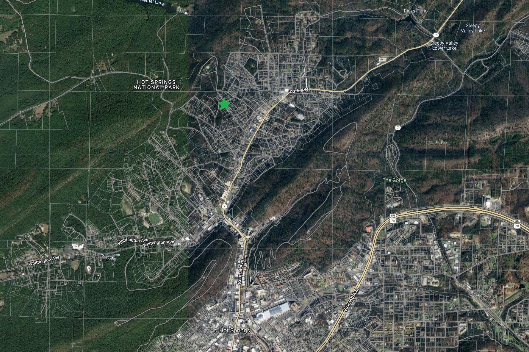 355 Holly Street Hot Springs, AR 71901 - Photo 3 of 7 a view of a plant