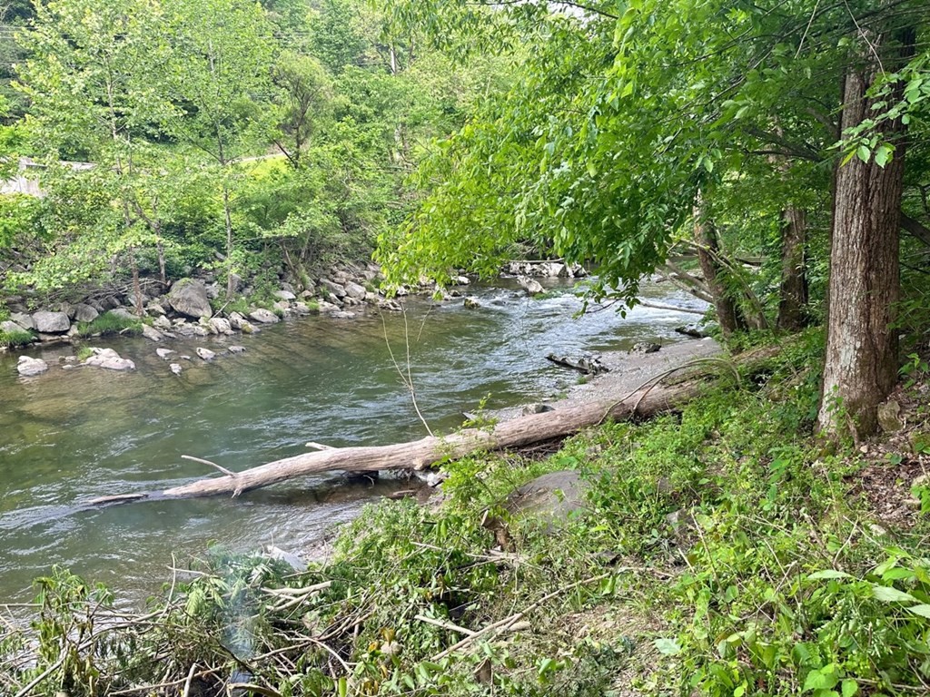 1 Rushing River Road Sevierville, TN 37876 - Photo 2 of 12 Gallery Image 2