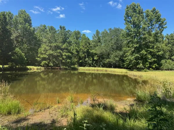 $250,000 | 390 Private Road 5200, Kennard, TX 75847