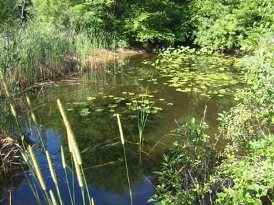 2254 Fenner Road Muskegon, MI 49445 - Photo 3 of 11 Additional Photo