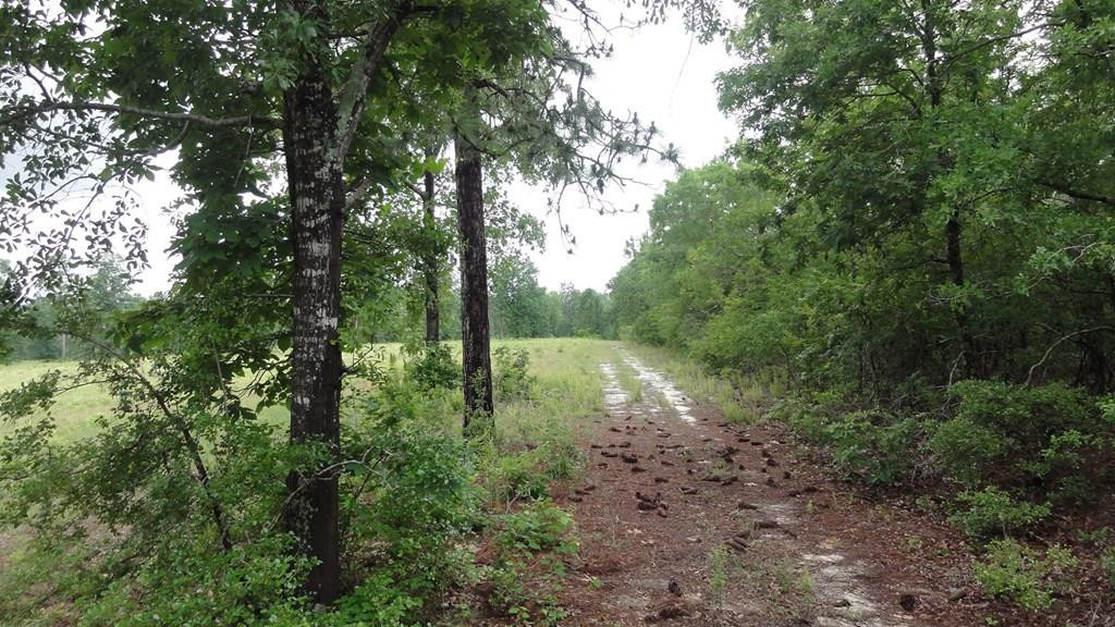 809 Colbert Bridge Road Windsor, SC 29856 - Photo 2 of 3