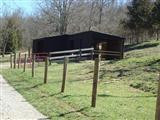 5177 Muddy Ford Road Georgetown, KY 40324 - Photo 21 of 24 Photo 21