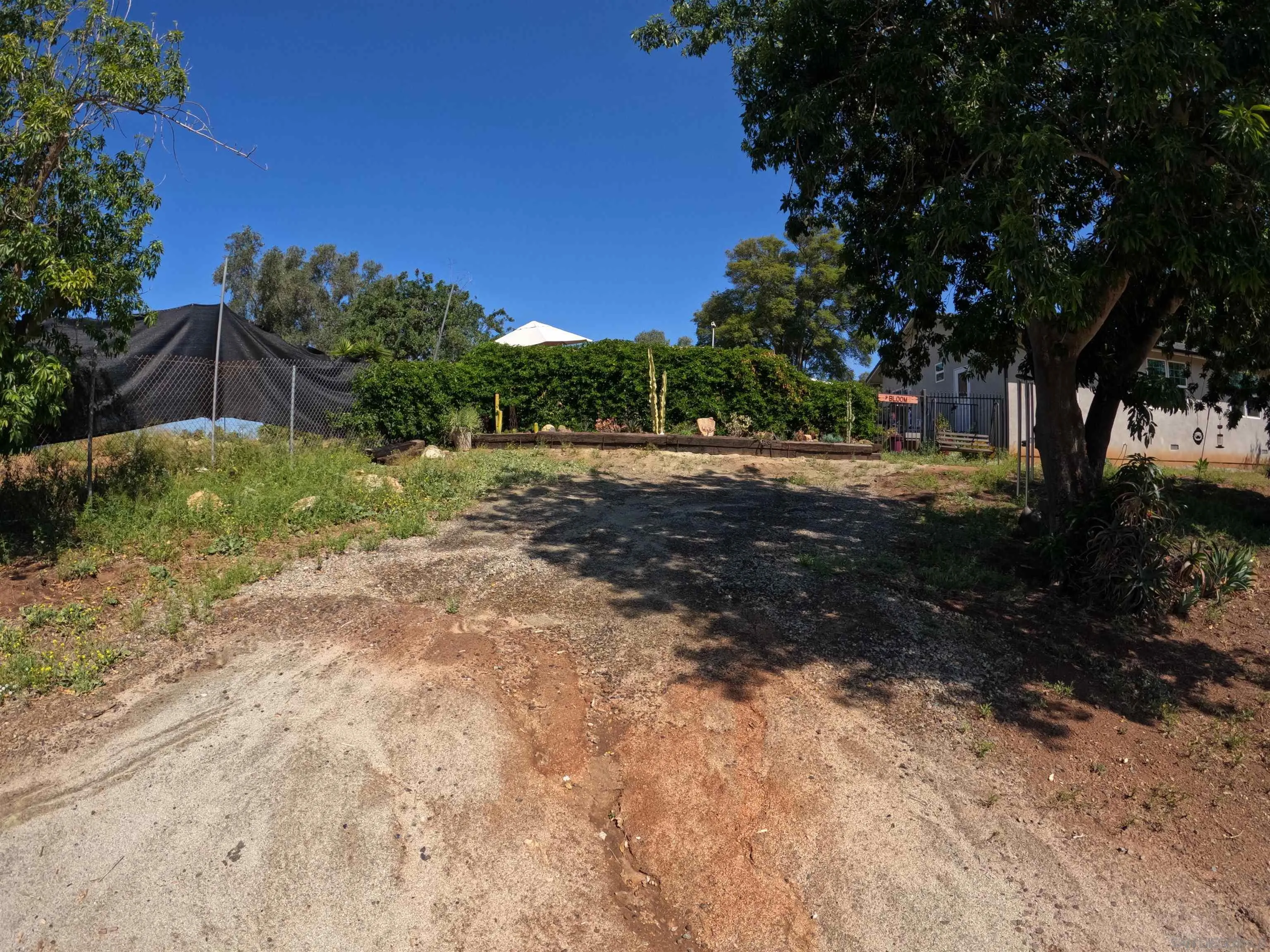 202 North Stage Coach Lane Fallbrook, CA 92028 - Photo 19 of 26 a view of a yard with a tree