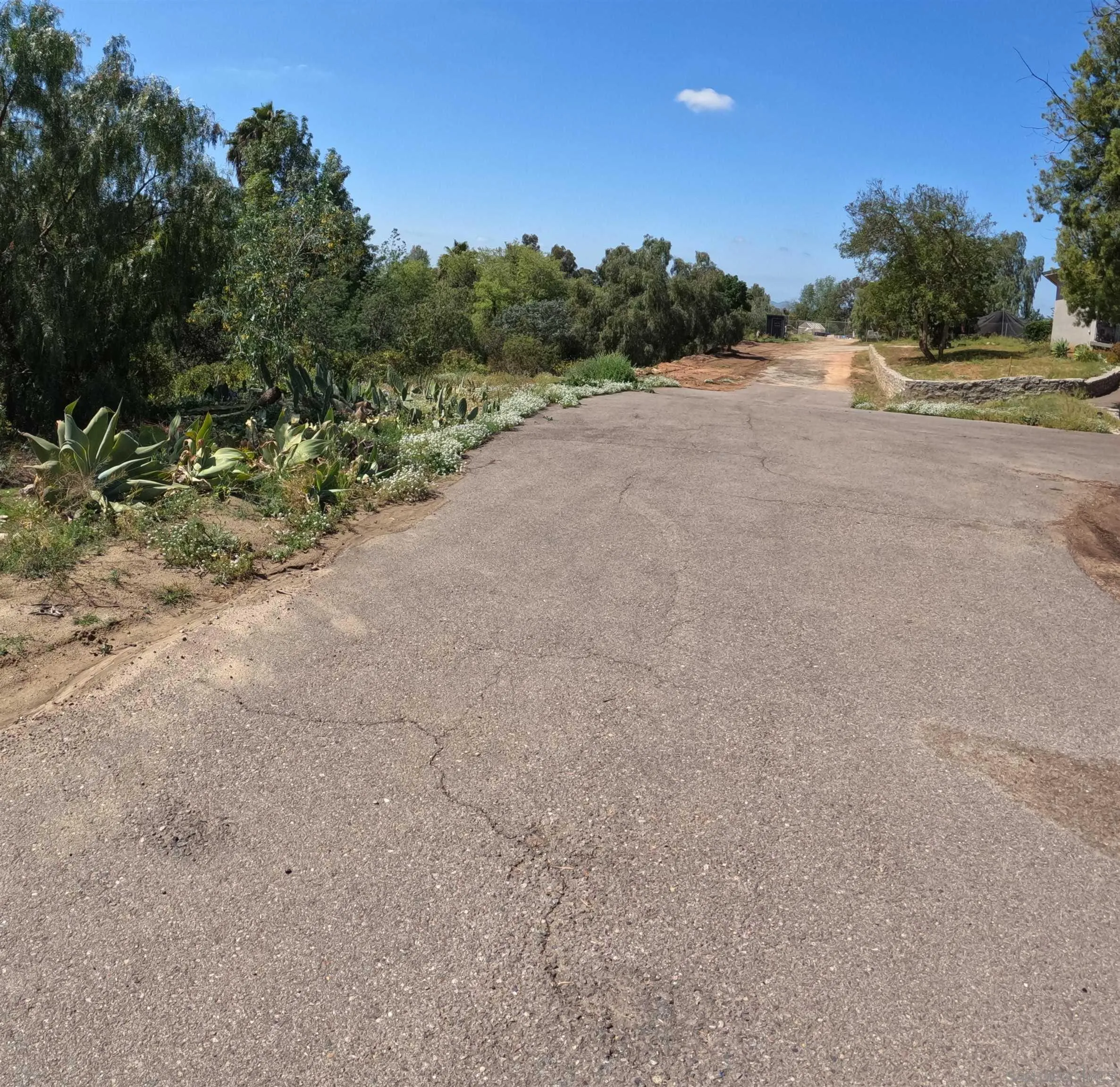 202 North Stage Coach Lane Fallbrook, CA 92028 - Photo 20 of 26 a view of a road with a trees