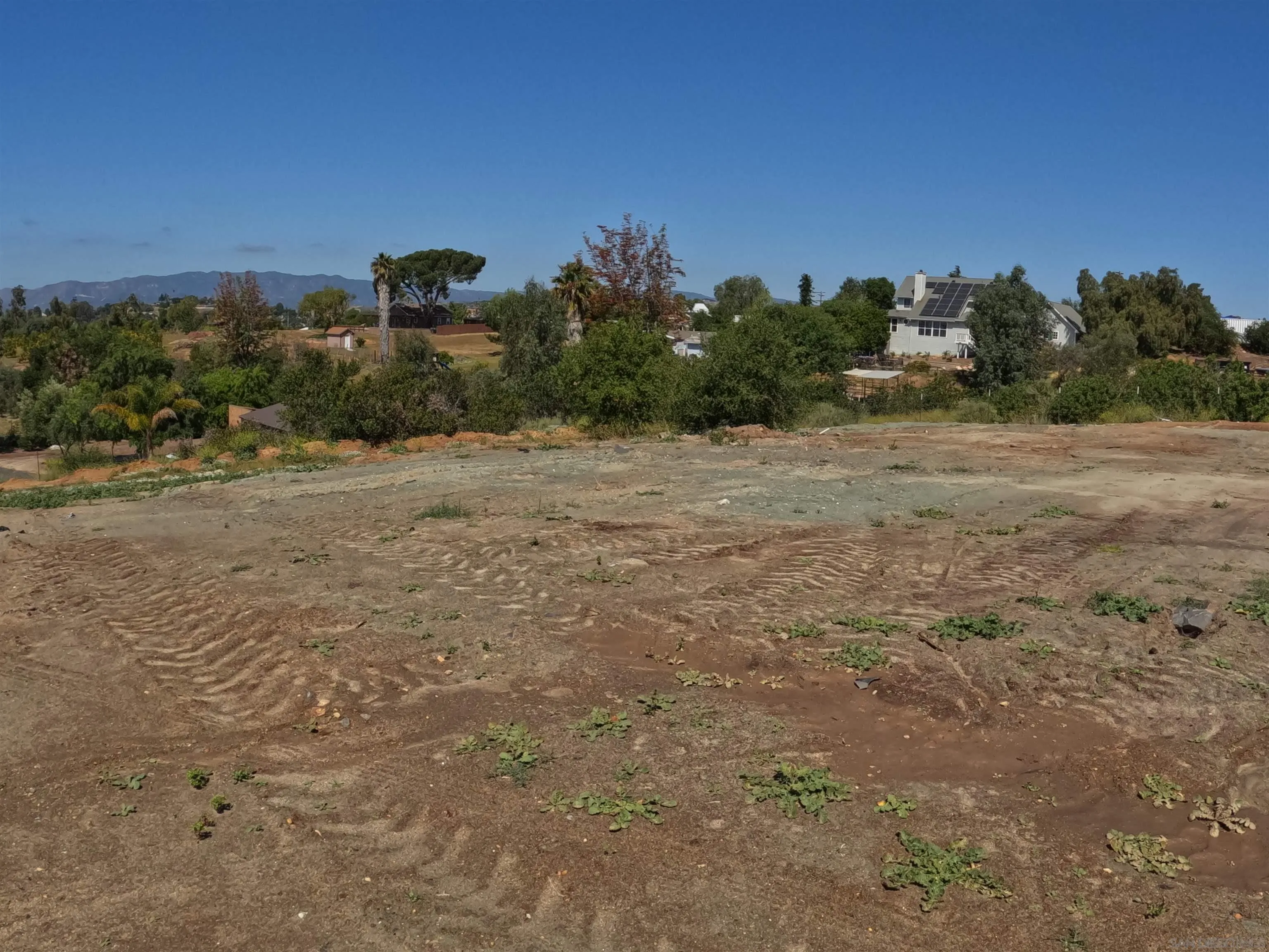 202 North Stage Coach Lane Fallbrook, CA 92028 - Photo 21 of 26 a view of a dry yard with trees in the background