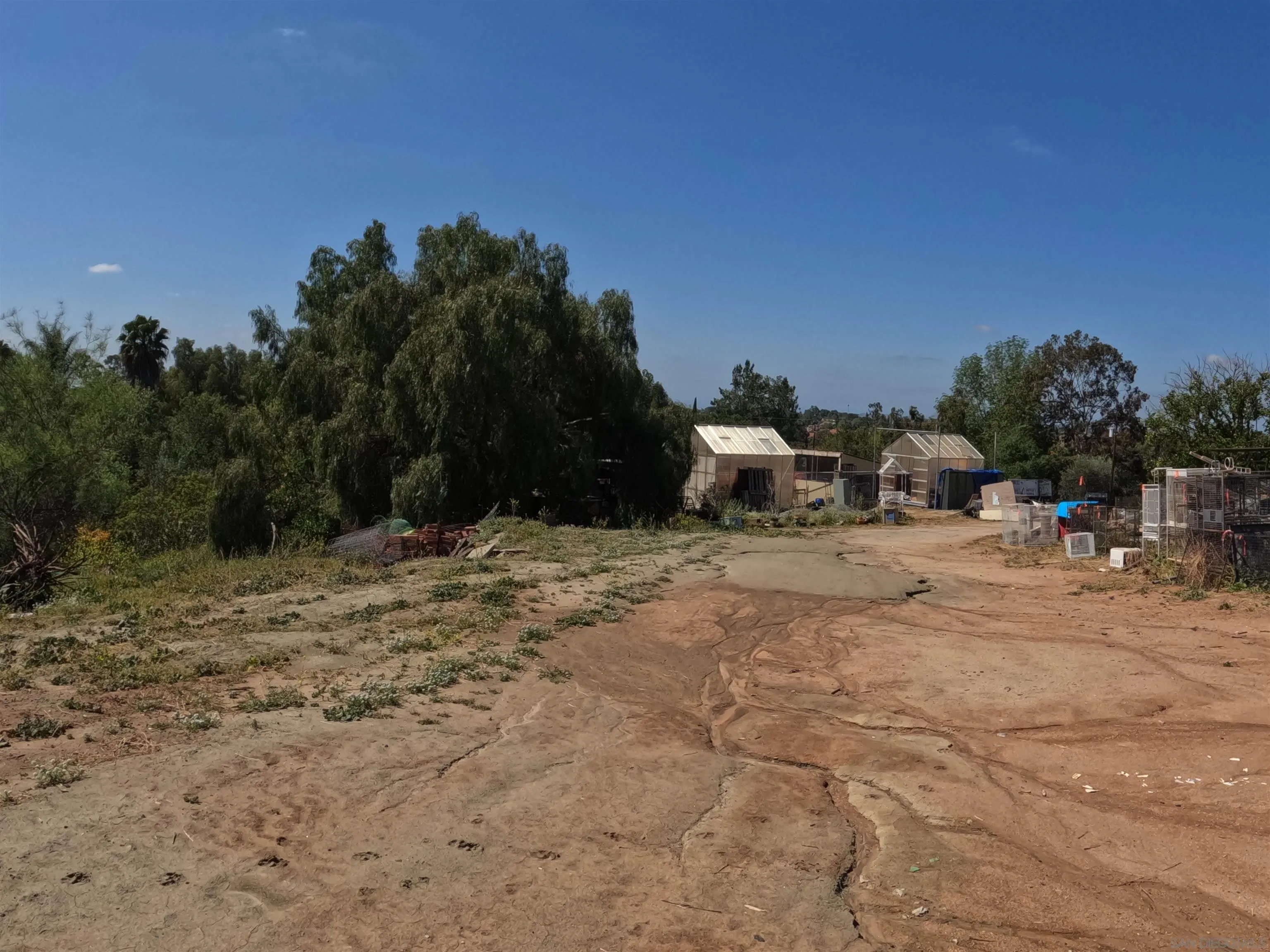 202 North Stage Coach Lane Fallbrook, CA 92028 - Photo 22 of 26 a view of a yard with a tree