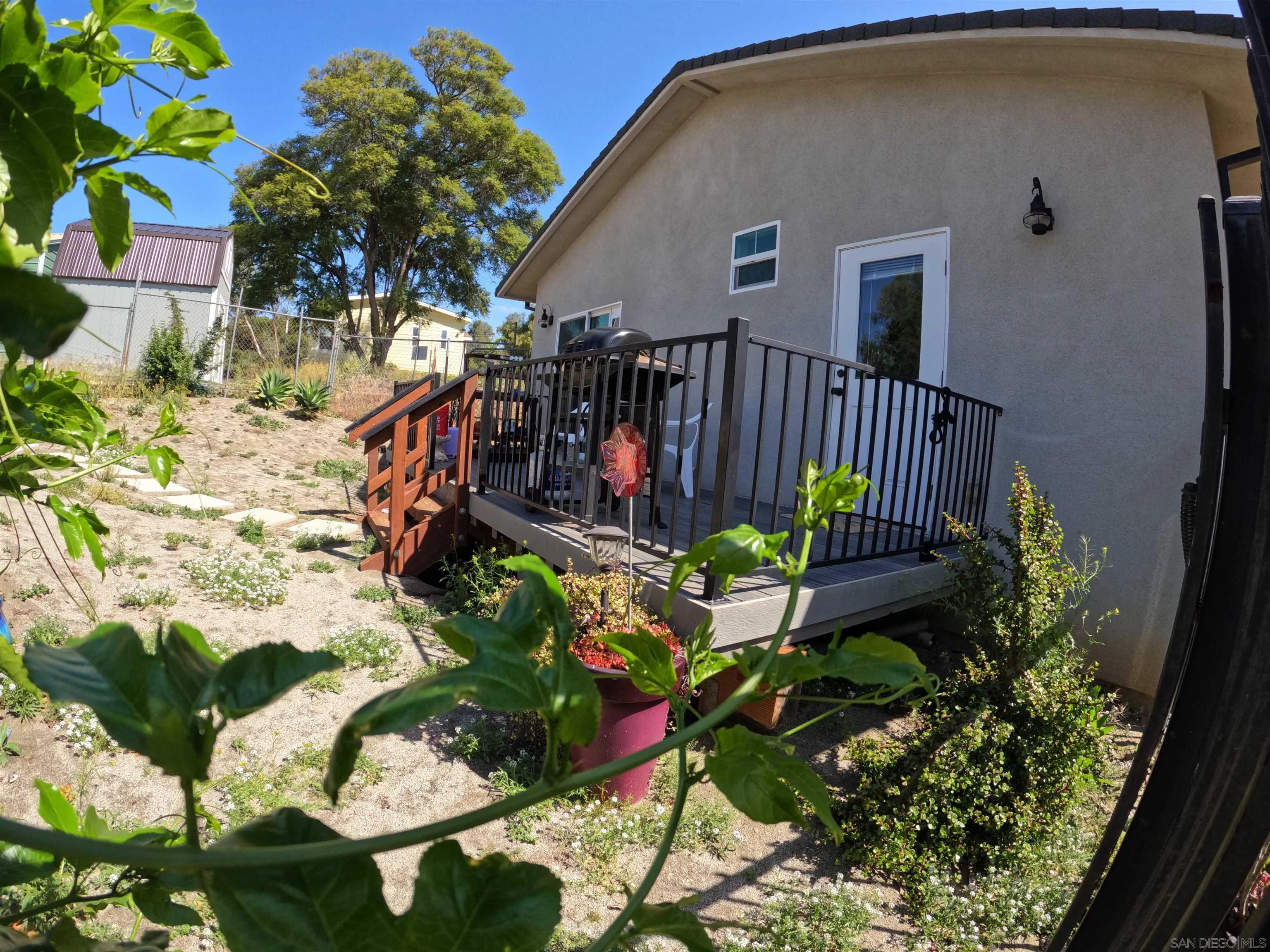 202 North Stage Coach Lane Fallbrook, CA 92028 - Photo 4 of 26 a view of a flower in a garden