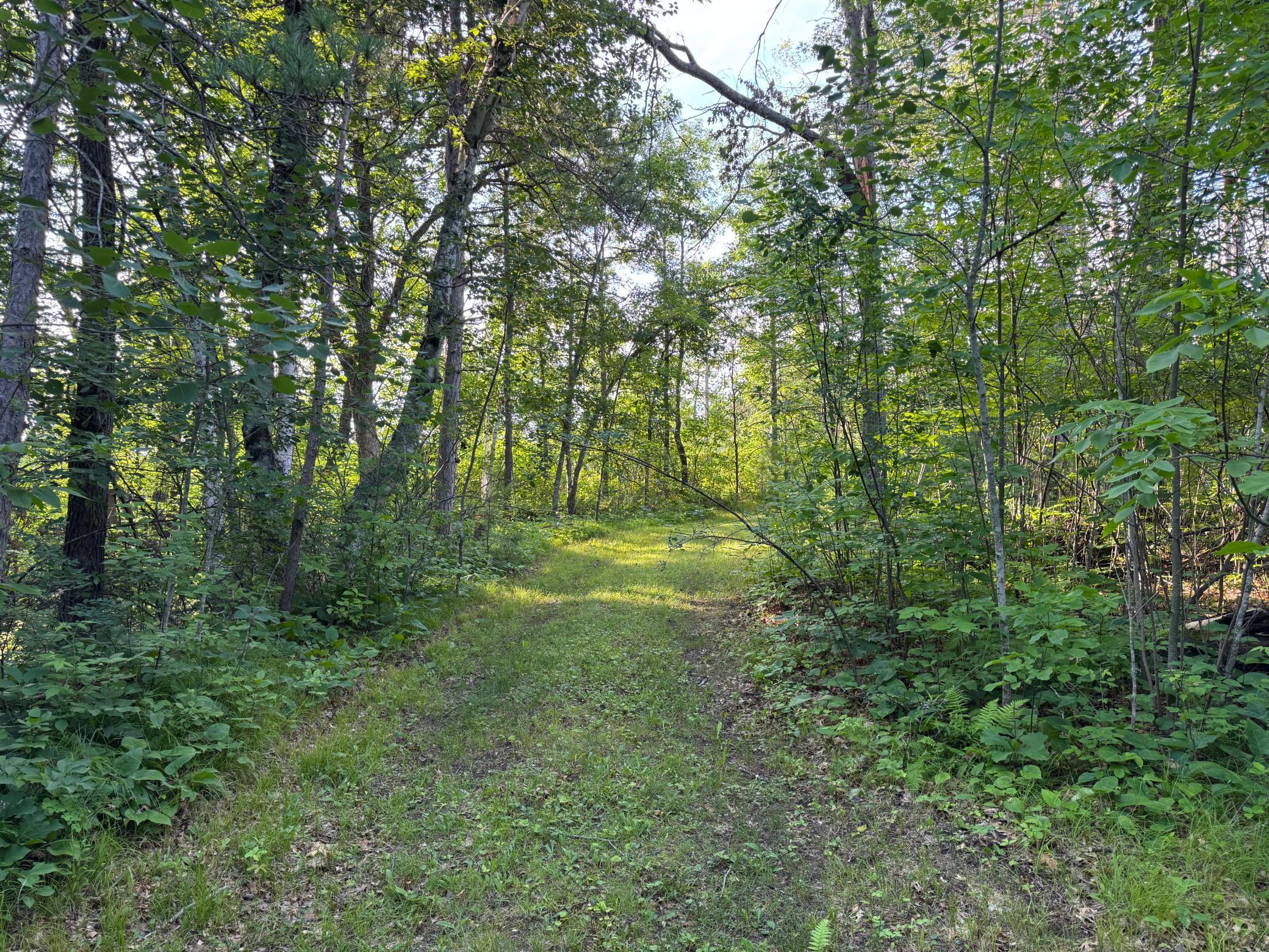 Tbd-1 North Riverside Road Moose Lake, MN 55767 - Photo 1 of 24