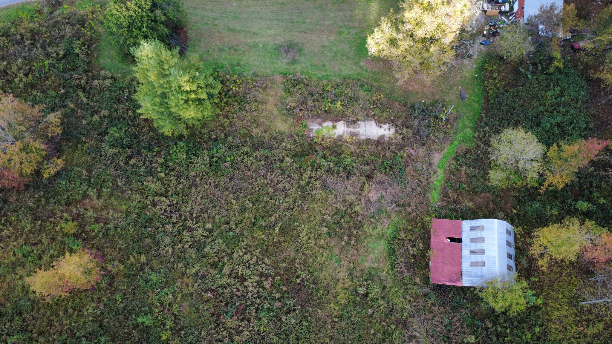 440 Big Spring Hollow Road Pulaski, TN 38478 - Photo 2 of 10 view of outdoor space and yard