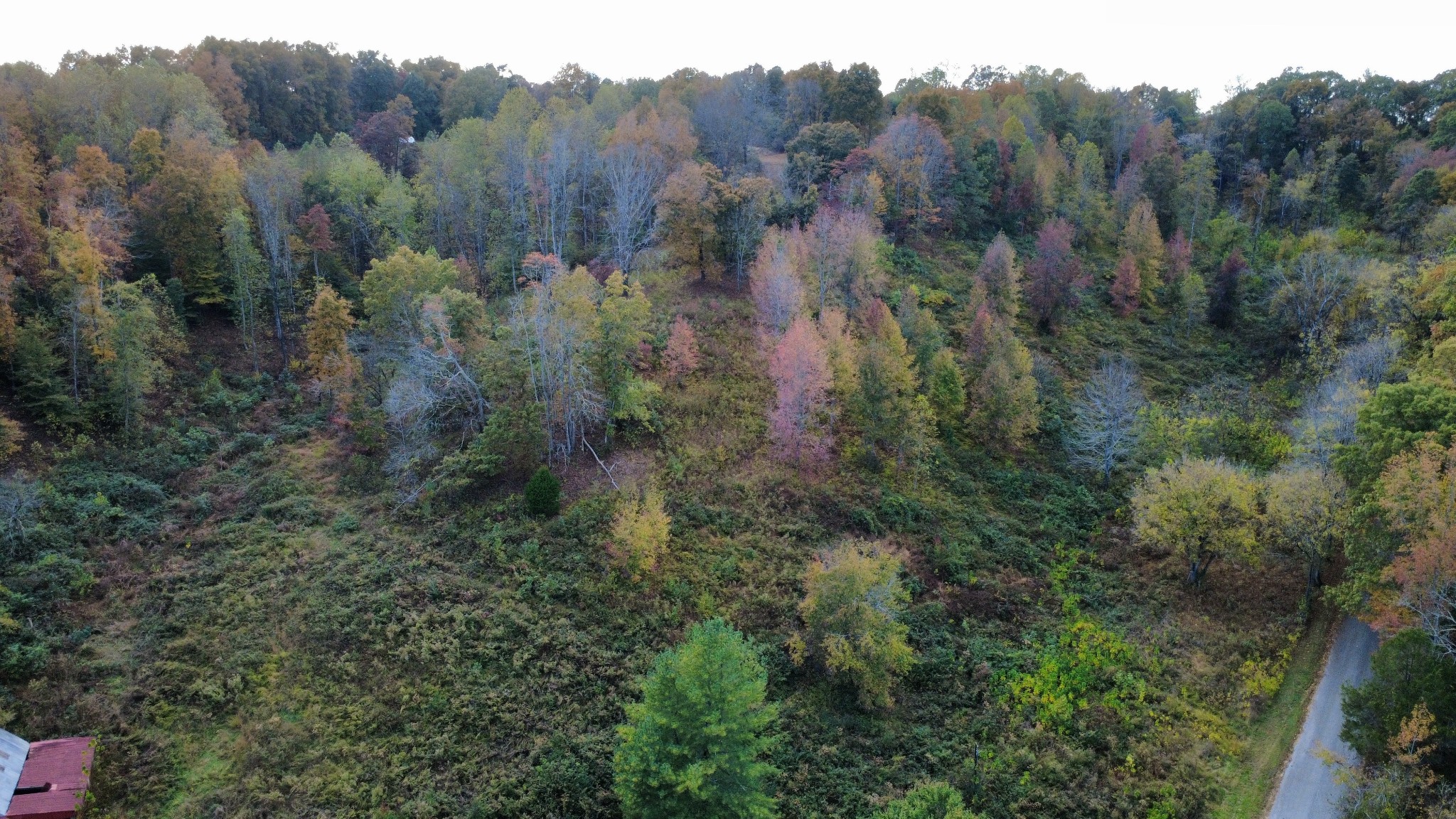 440 Big Spring Hollow Road Pulaski, TN 38478 - Photo 3 of 10 an aerial view of mountain with trees all around