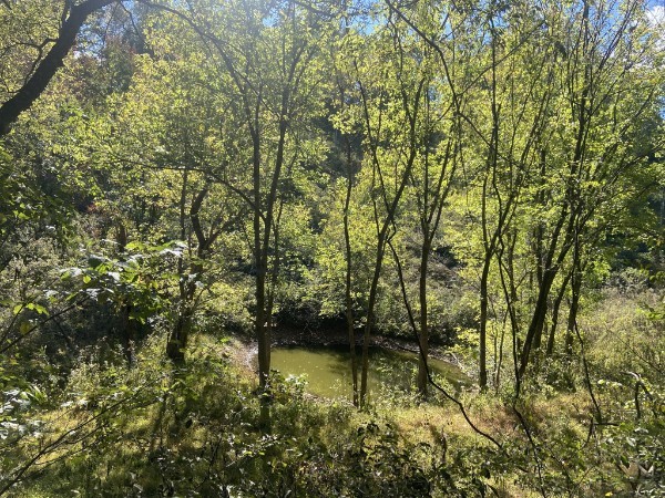 440 Big Spring Hollow Road Pulaski, TN 38478 - Photo 8 of 10 a view of lake