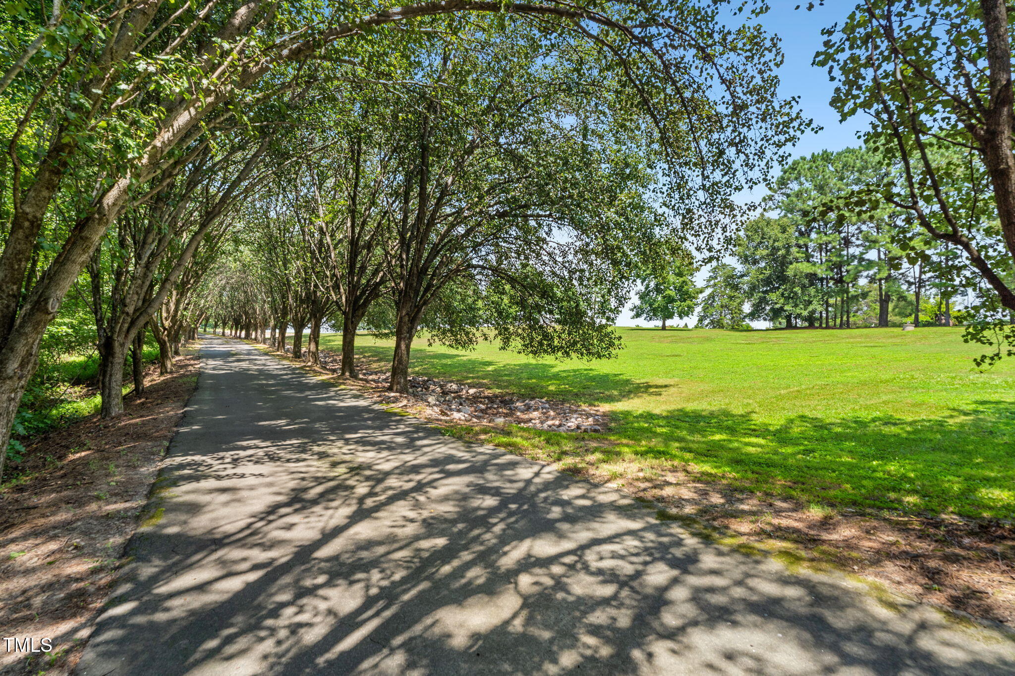 1855 Bullocksville Park Road Manson, NC 27553 - Photo 41 of 46 a view of a trees with a yard