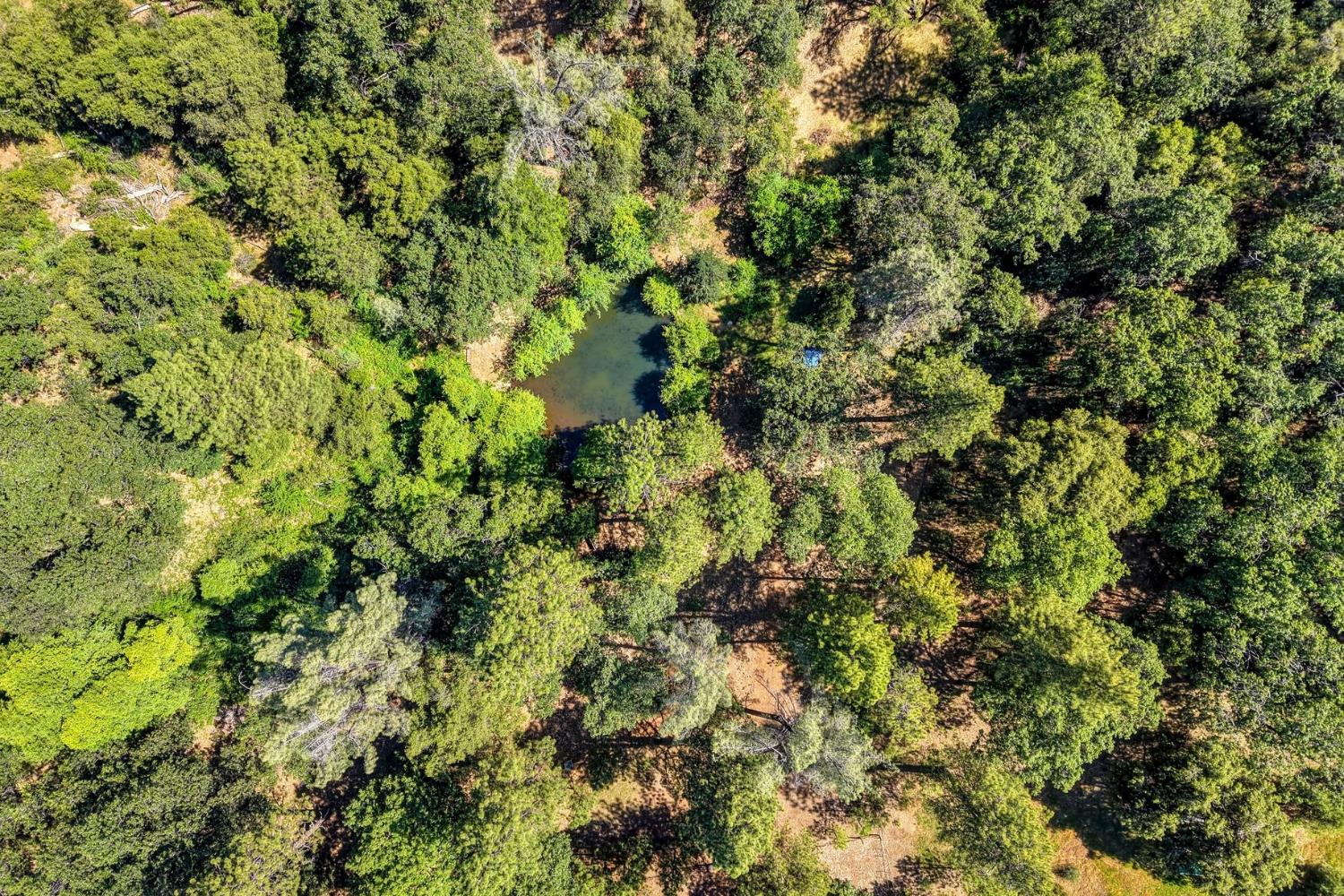 1205 Tokayana Ranch Lane Colfax, CA 95713 - Photo 49 of 60