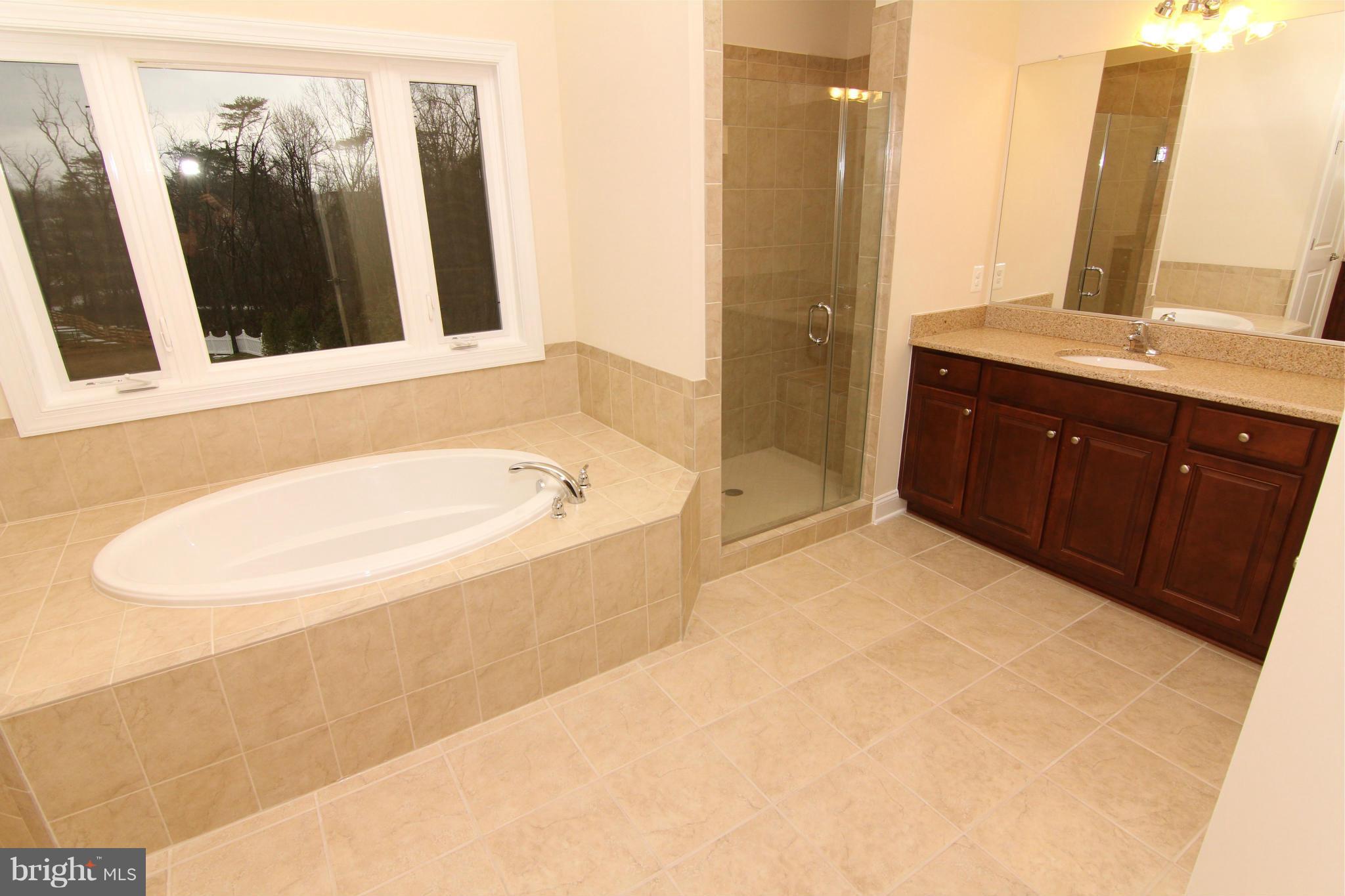 20946 Ashburn Road Ashburn, VA 20147 - Photo 20 of 30 Bath (Master)