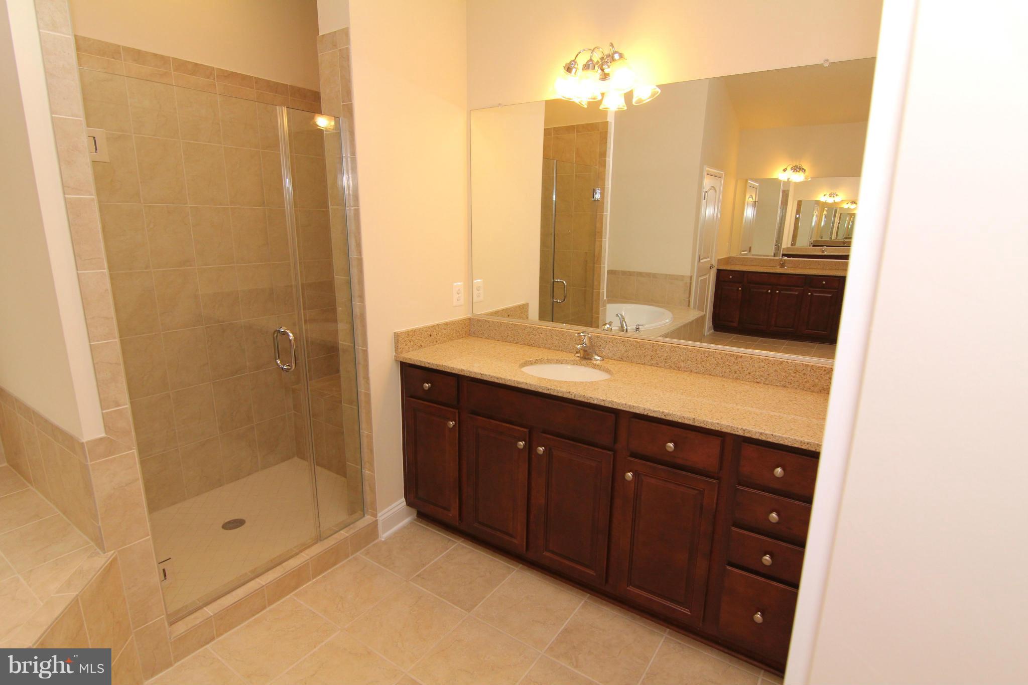 20946 Ashburn Road Ashburn, VA 20147 - Photo 21 of 30 Bath (Master)