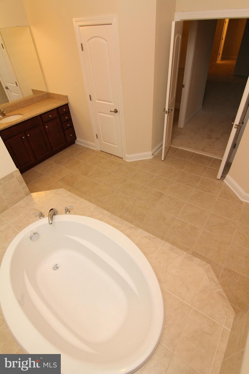 20946 Ashburn Road Ashburn, VA 20147 - Photo 22 of 30 Bath (Master)