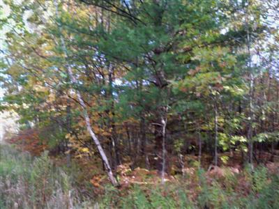 Millerton Road Branch, MI 49402 - Photo 2 of 3 Additional Photo